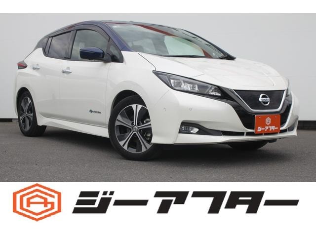 Nissan LEAF 2018 — фото автомобиля 1