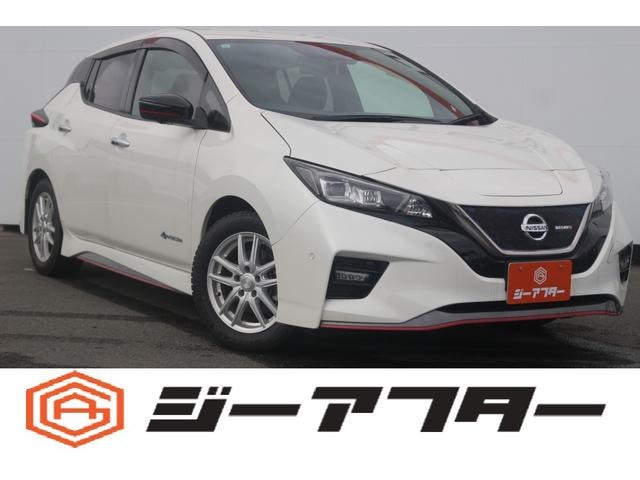 Nissan LEAF 2019 — фото автомобиля 1