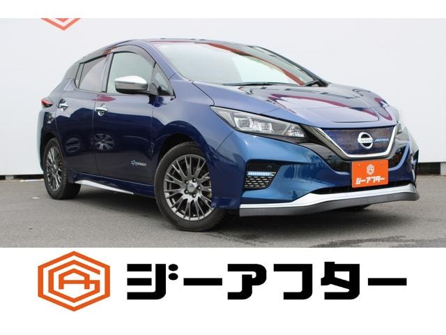 Nissan LEAF 2019 — фото автомобиля 1