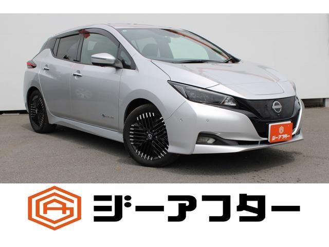 Nissan LEAF 2023 — фото автомобиля 1