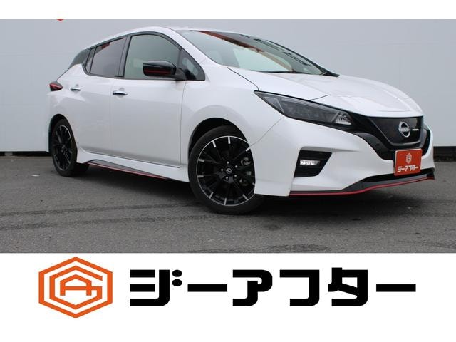 Nissan LEAF 2022 — фото автомобиля 1