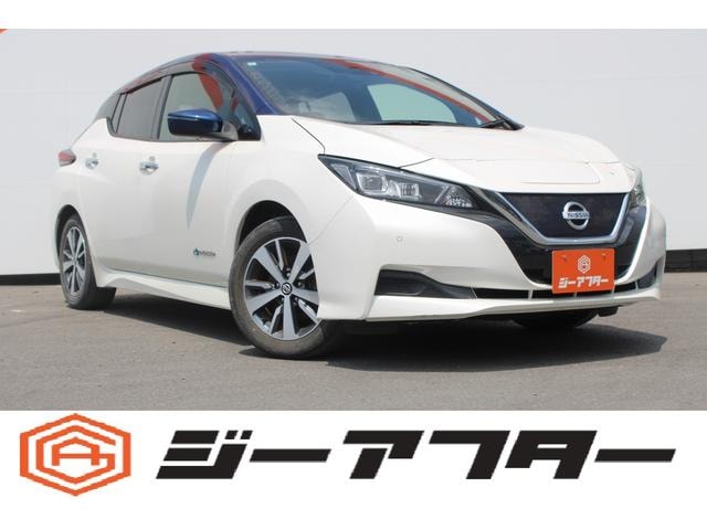 Nissan LEAF 2020 — фото автомобиля 1