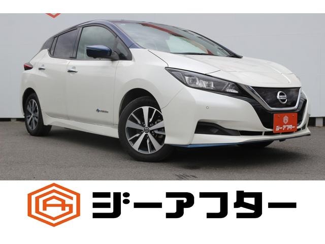Nissan LEAF 2019 — фото автомобиля 1