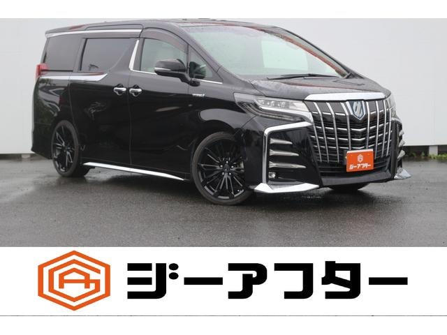 Toyota ALPHARD HYBRID 2018 — фото автомобиля
