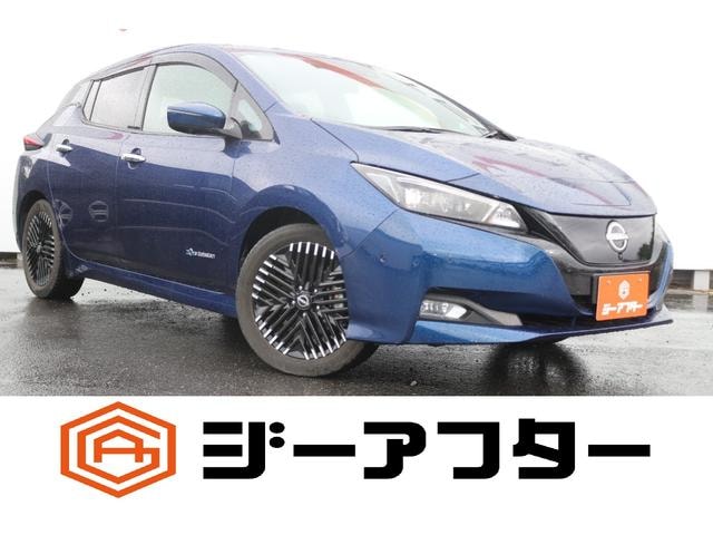 Nissan LEAF 2023 — фото автомобиля 1