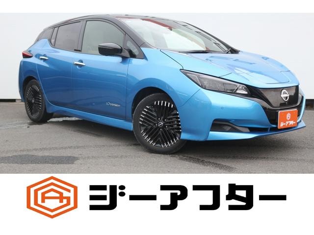 Nissan LEAF 2022 — фото автомобиля 1