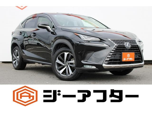 Lexus NX 2017 — фото автомобиля 1