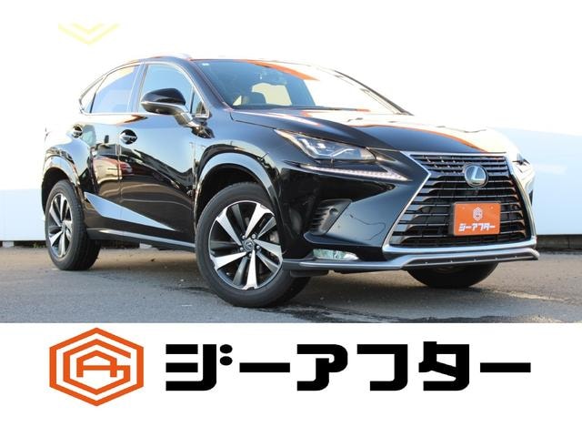 Lexus NX 2020 — фото автомобиля 1