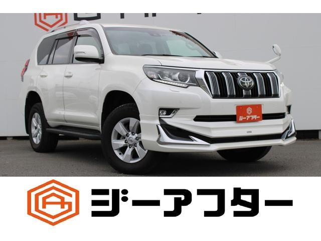 Toyota LAND CRUISER PRADO 2021 — фото автомобиля