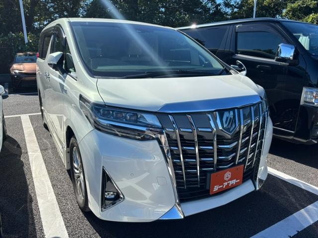 Toyota ALPHARD HYBRID 2018 — фото автомобиля