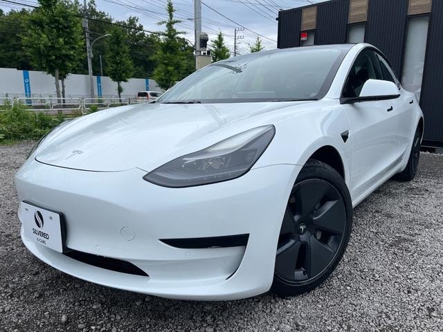Tesla MODEL 3 2021 — фото автомобиля 1