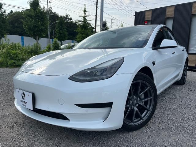 Tesla MODEL 3 2021 — фото автомобиля 1