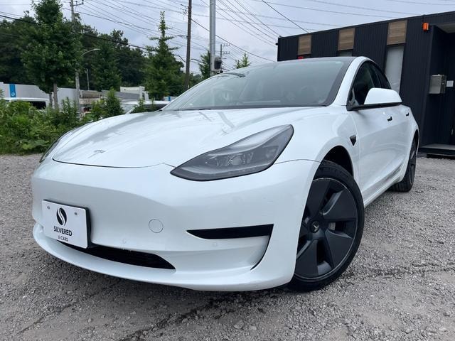 Tesla MODEL 3 2021 — фото автомобиля 1