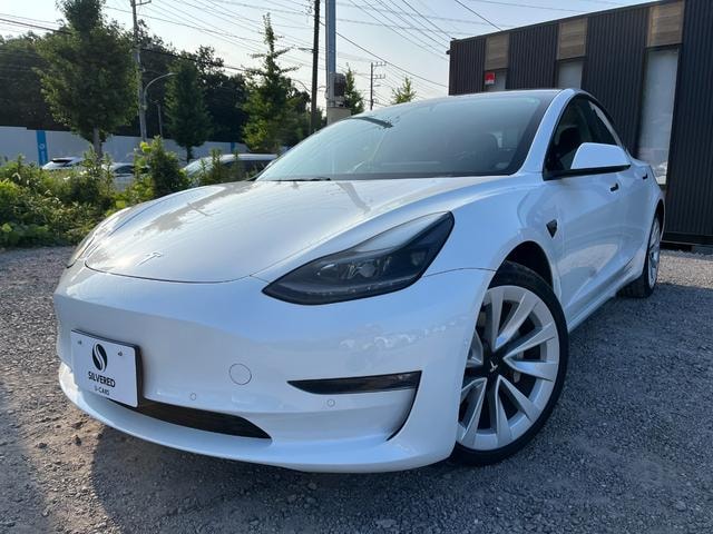 Tesla MODEL 3 2021 — фото автомобиля 1