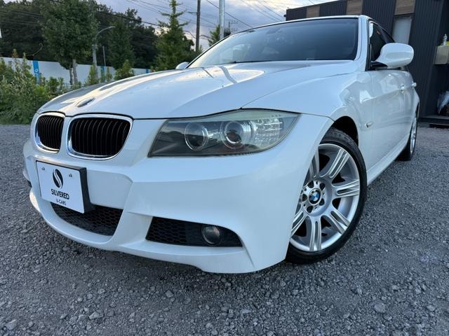 Bmw 3 SERIES 2009 — фото автомобиля 1