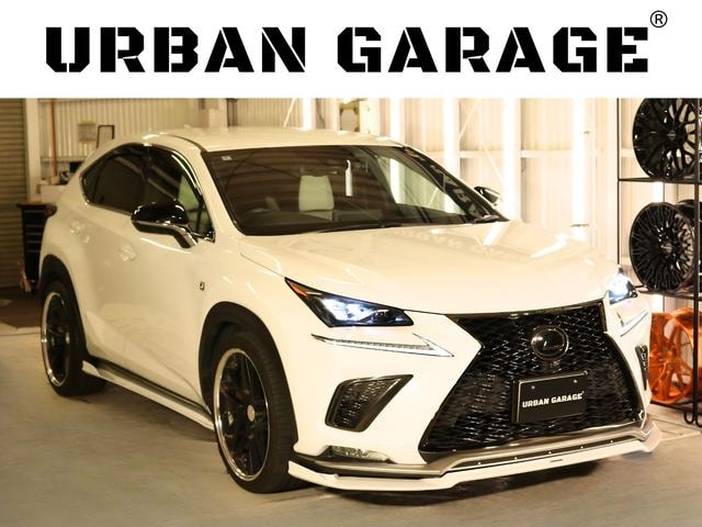 Lexus NX 2020 — фото автомобиля 1