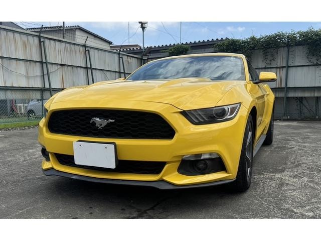 Ford MUSTANG 2019 — фото автомобиля