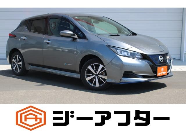 Nissan LEAF 2021 — фото автомобиля 1