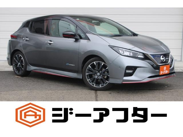 Nissan LEAF 2018 — фото автомобиля 1
