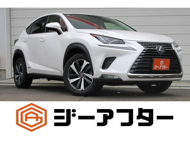 Lexus NX 2019 — фото автомобиля 1