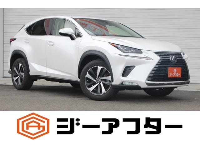Lexus NX 2021 — фото автомобиля 1