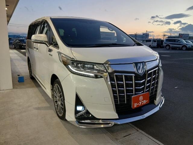 Toyota ALPHARD HYBRID 2019 — фото автомобиля
