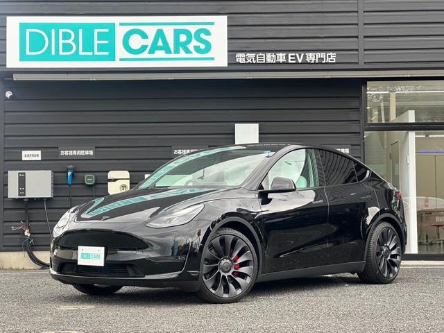 Tesla MODEL Y 2023 — фото автомобиля 1