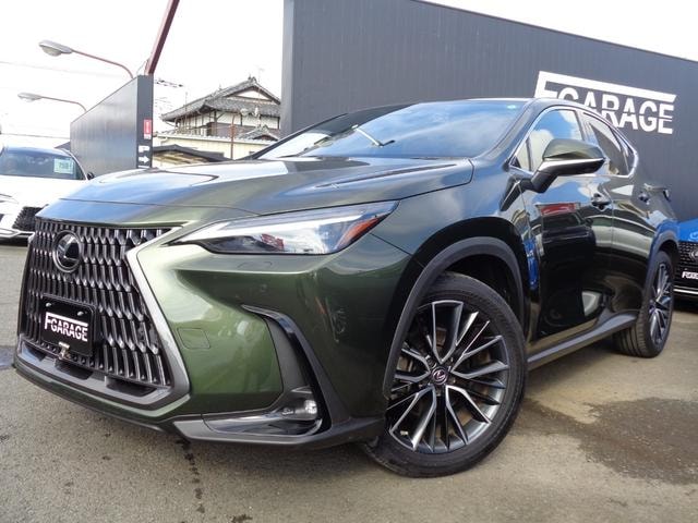 Lexus NX 2022 — фото автомобиля 1