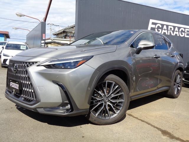Lexus NX 2023 — фото автомобиля 1