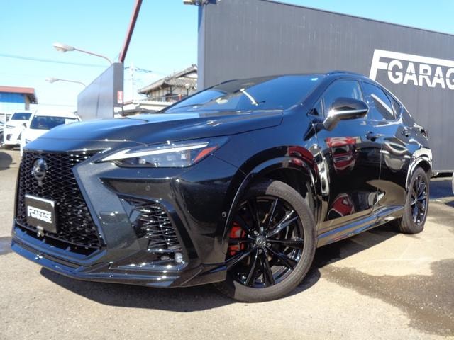 Lexus NX 2024 — фото автомобиля 1