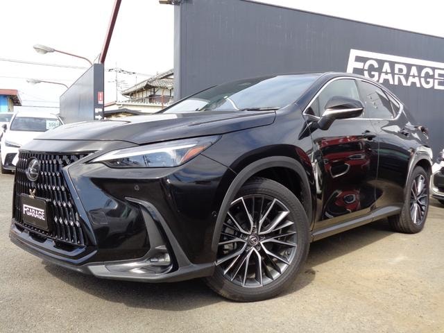 Lexus NX 2023 — фото автомобиля 1