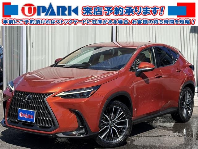 Lexus NX 2023 — фото автомобиля 1