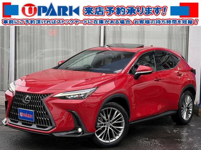Lexus NX 2023 — фото автомобиля