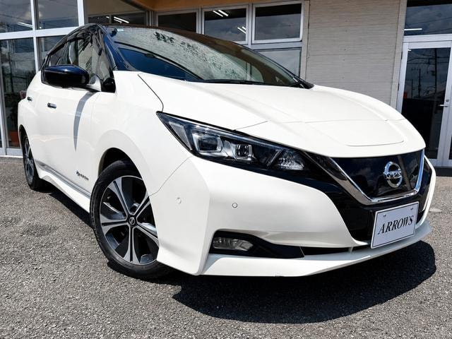 Nissan LEAF 2019 — фото автомобиля 1