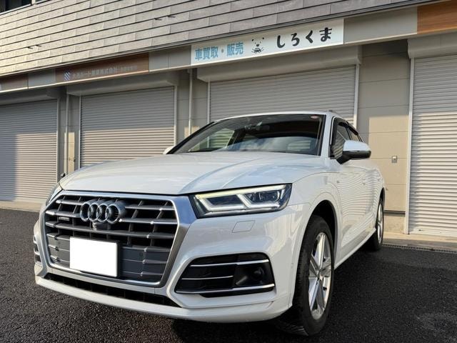 Audi Q5 2019 — фото автомобиля 1