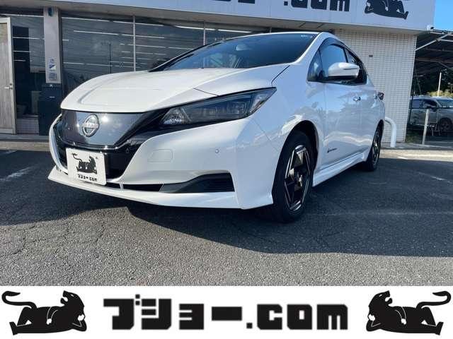 Nissan LEAF 2024 — фото автомобиля