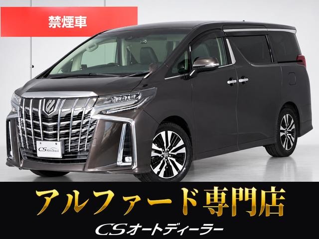 Toyota ALPHARD 2020 — фото автомобиля