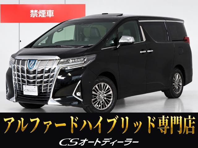 Toyota ALPHARD HYBRID 2021 — фото автомобиля