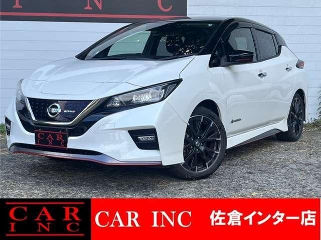 Nissan LEAF 2019 — фото автомобиля 1