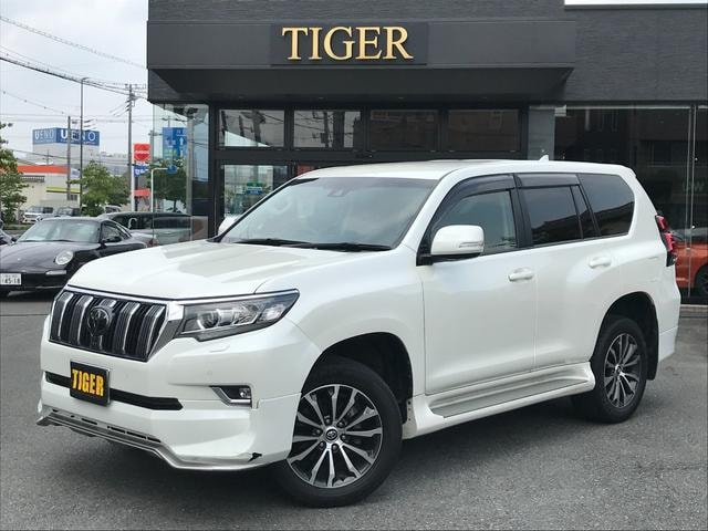 Toyota LAND CRUISER PRADO 2020 — фото автомобиля
