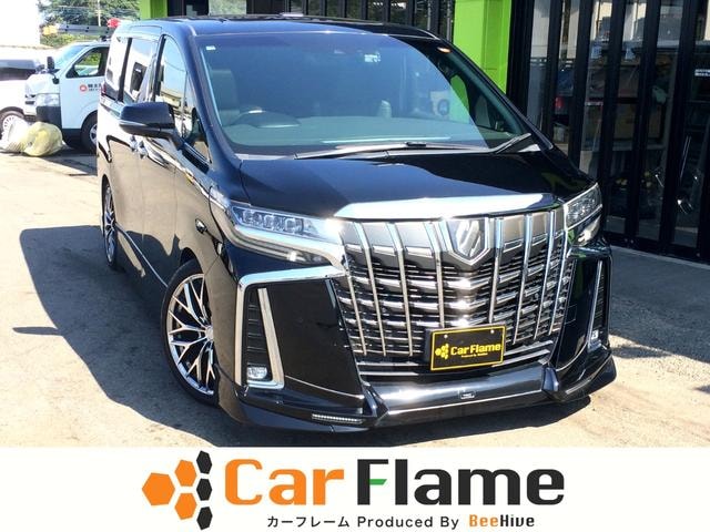 Toyota ALPHARD 2018 — фото автомобиля