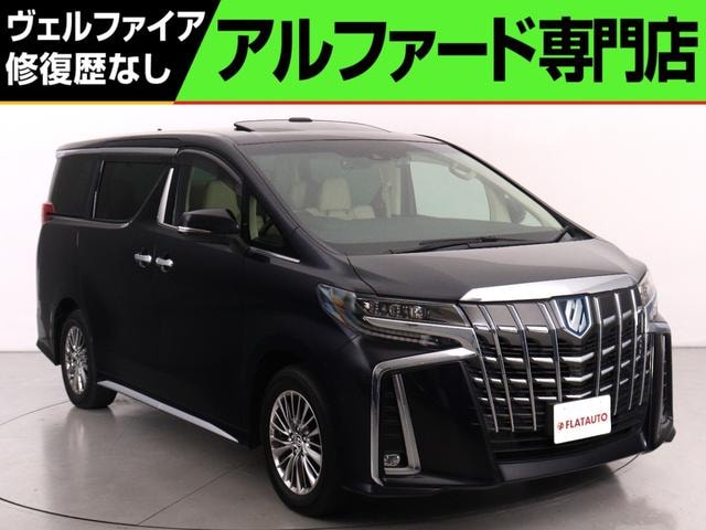 Toyota ALPHARD HYBRID 2021 — фото автомобиля