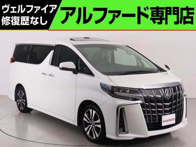 Toyota ALPHARD 2019 — фото автомобиля