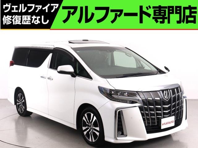 Toyota ALPHARD 2019 — фото автомобиля