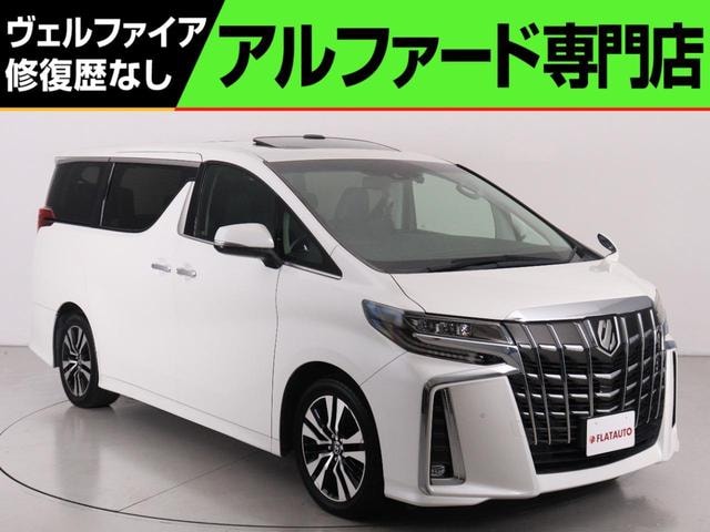 Toyota ALPHARD 2019 — фото автомобиля