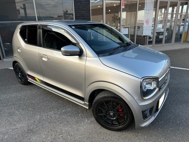 Suzuki ALTO WORKS 2019 — фото автомобиля