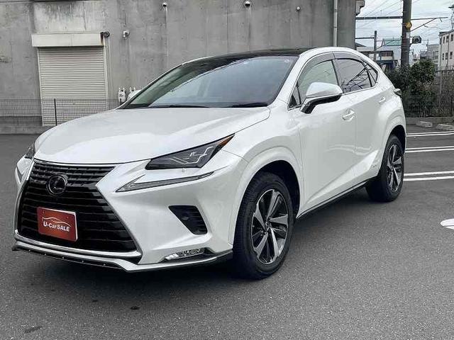 Lexus NX 2019 — фото автомобиля