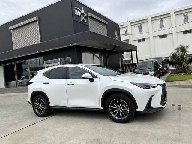 Lexus NX 2024 — фото автомобиля 1