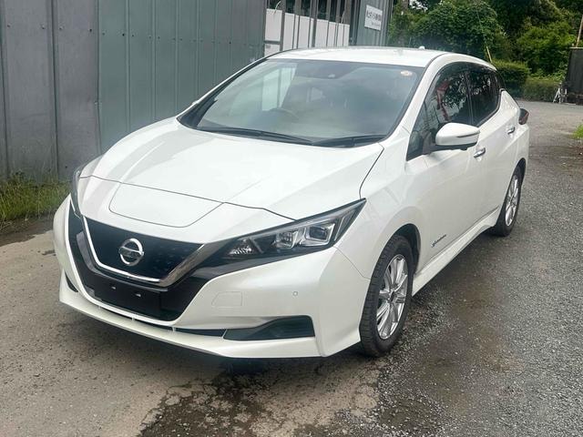 Nissan LEAF 2020 — фото автомобиля 1