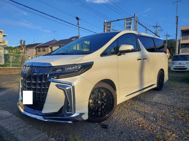 Toyota ALPHARD 2020 — фото автомобиля 1